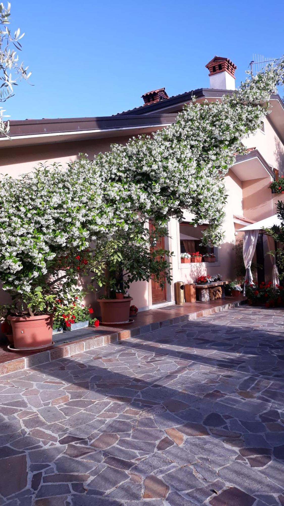 Villa Ambrosia Múggia Exterior foto